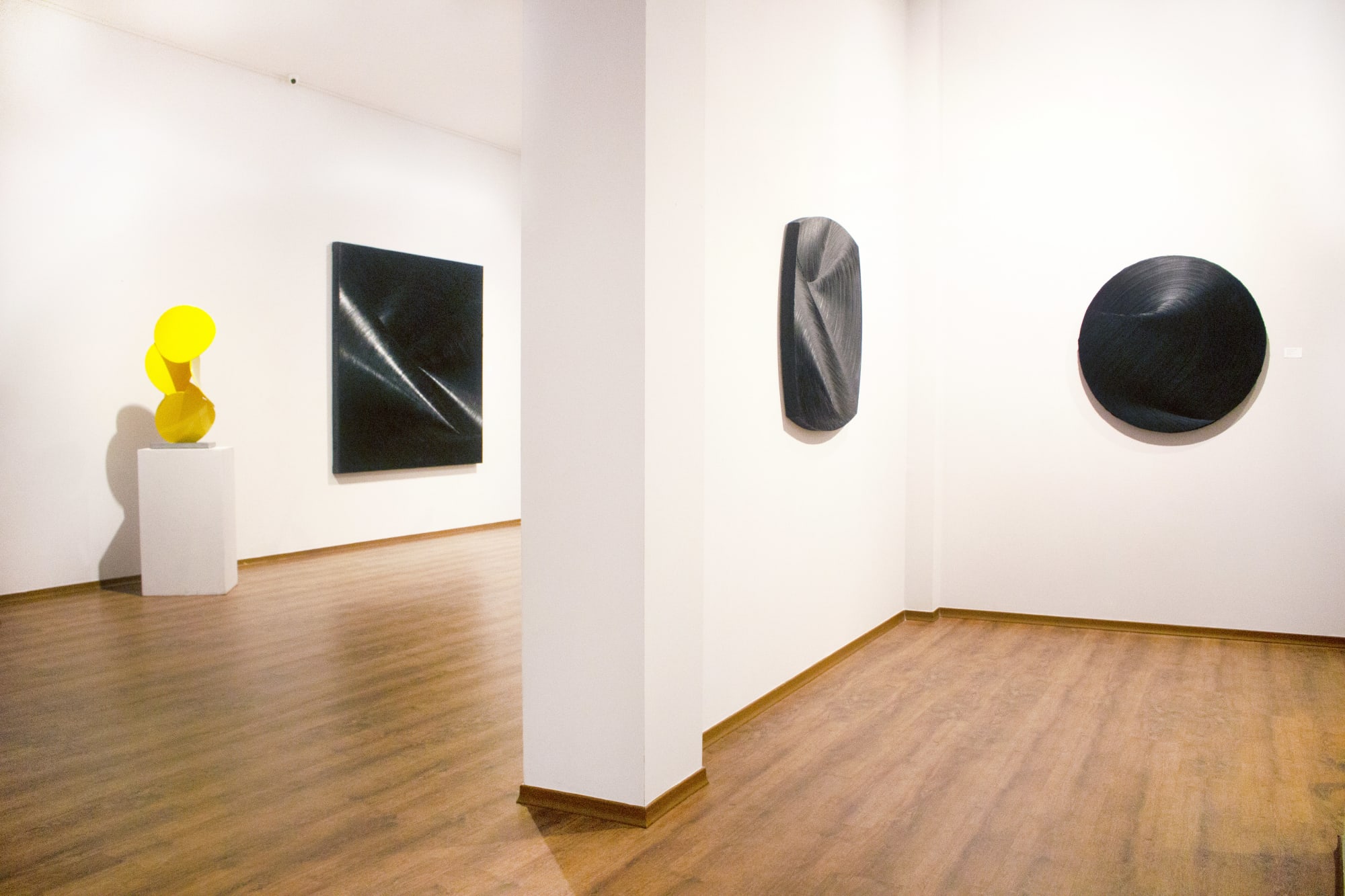 Convergent Evolution