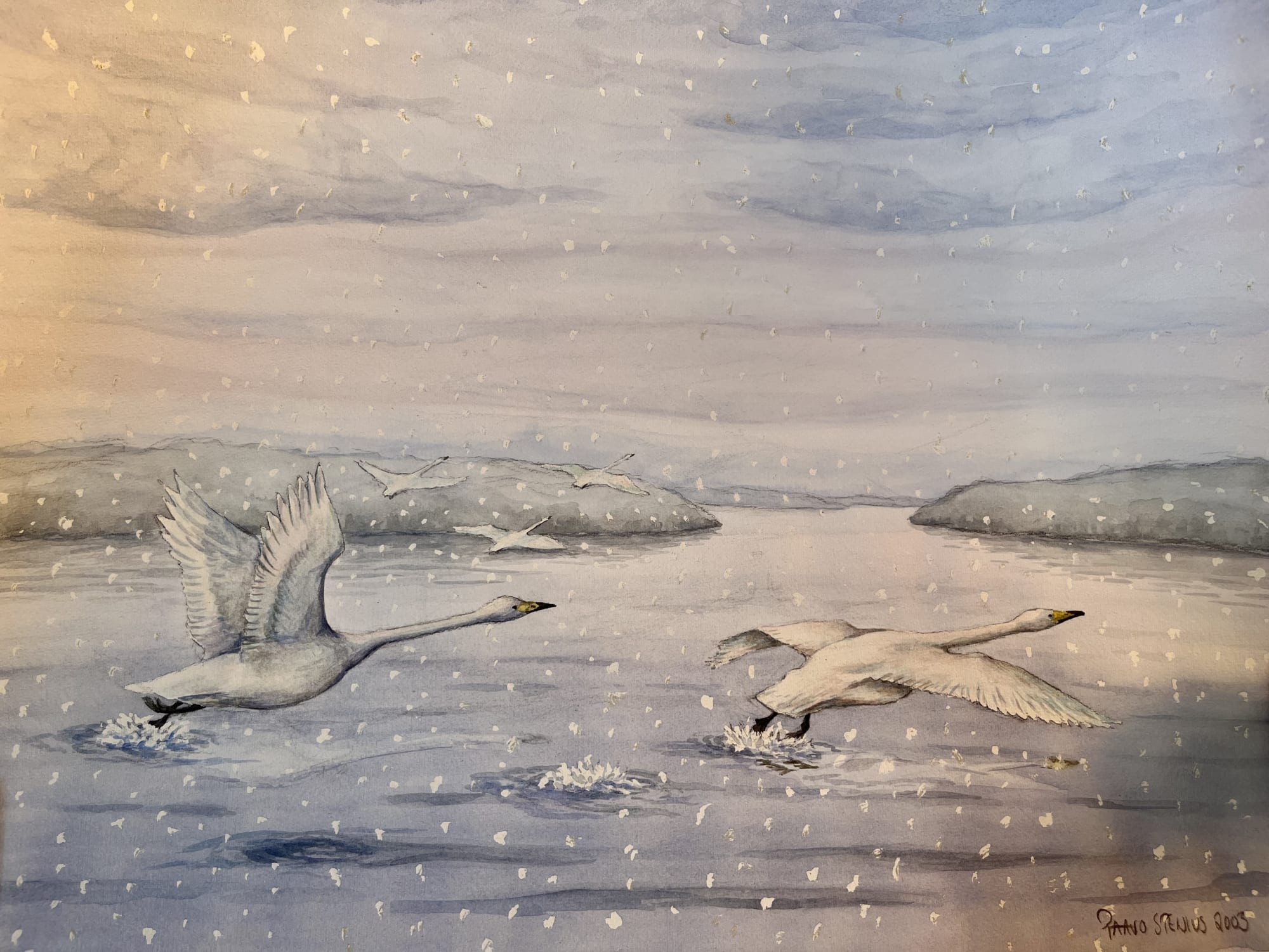 Paavo Stenius, Swans in flight, Winter, 2003