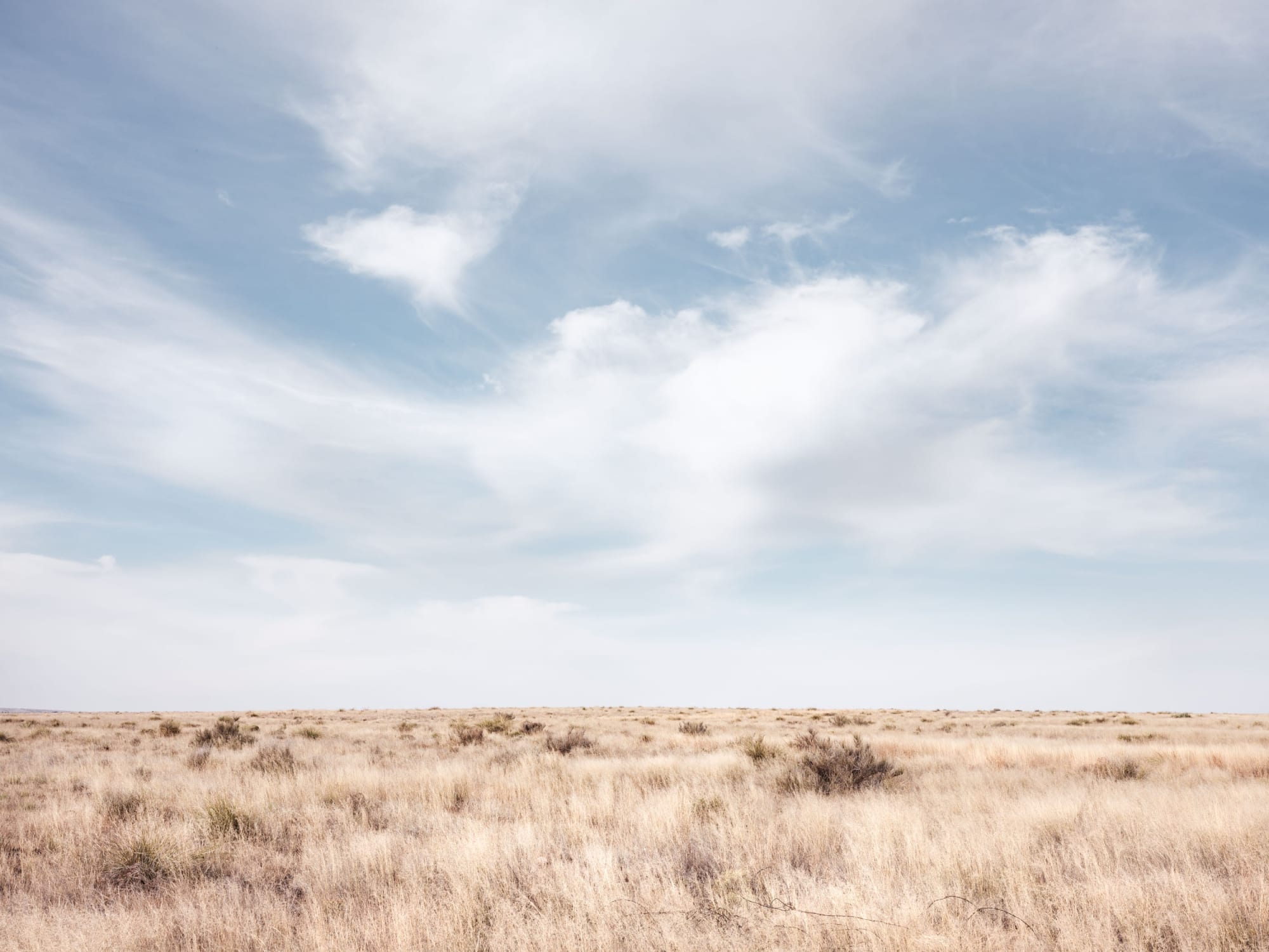 Desertscapes