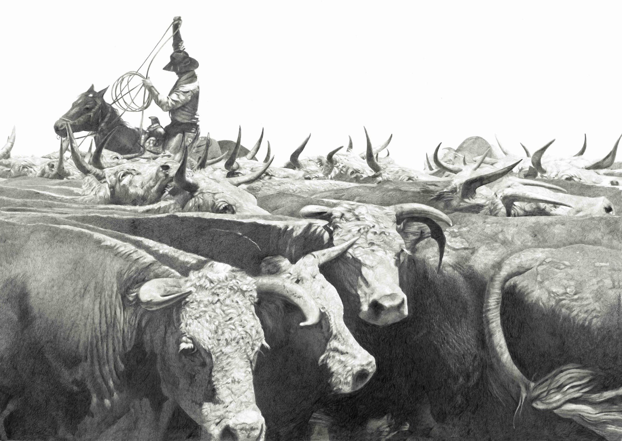 Works on Paper | Texas Drawings