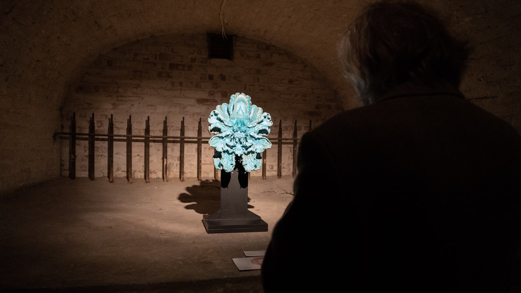 Jeff Robb | Beyond Nature