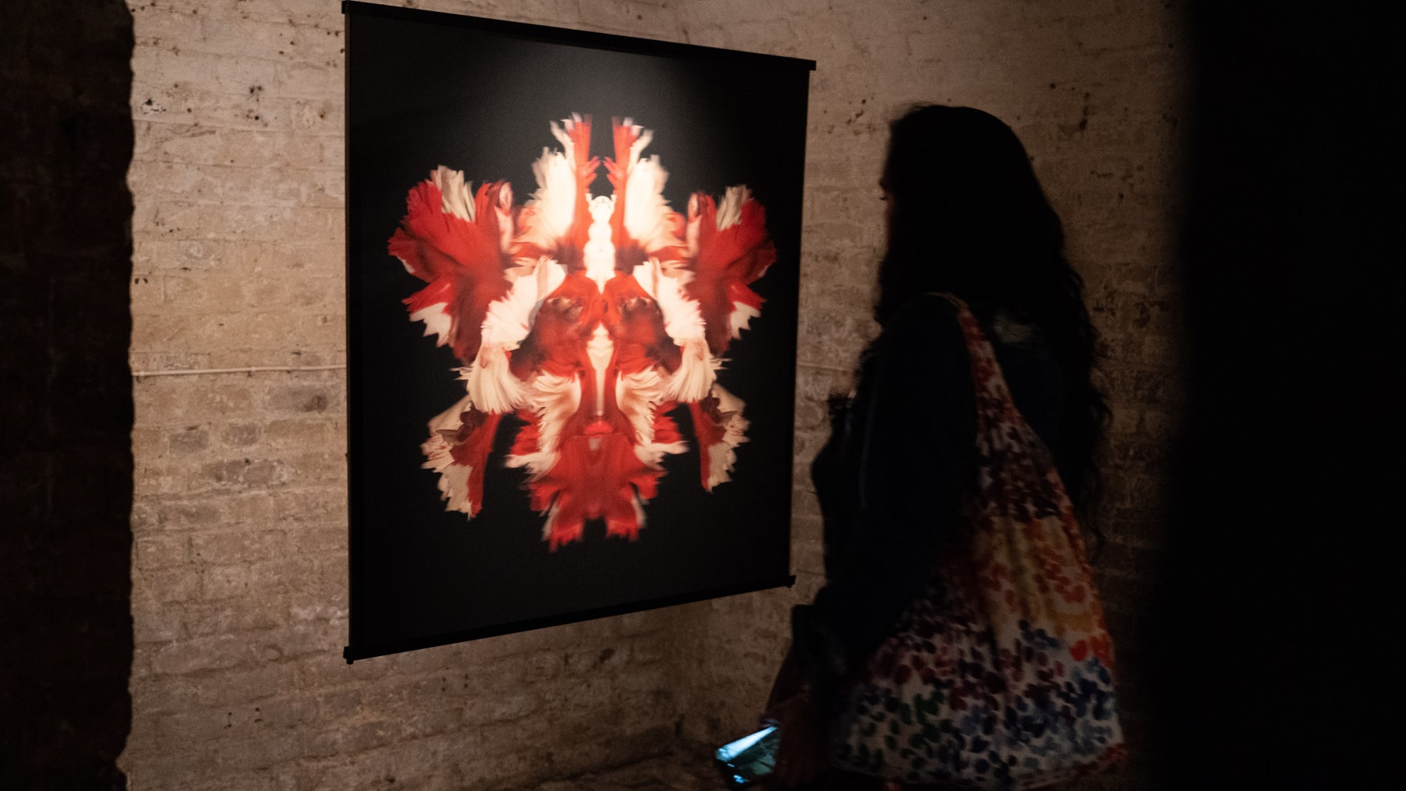 Jeff Robb | Beyond Nature