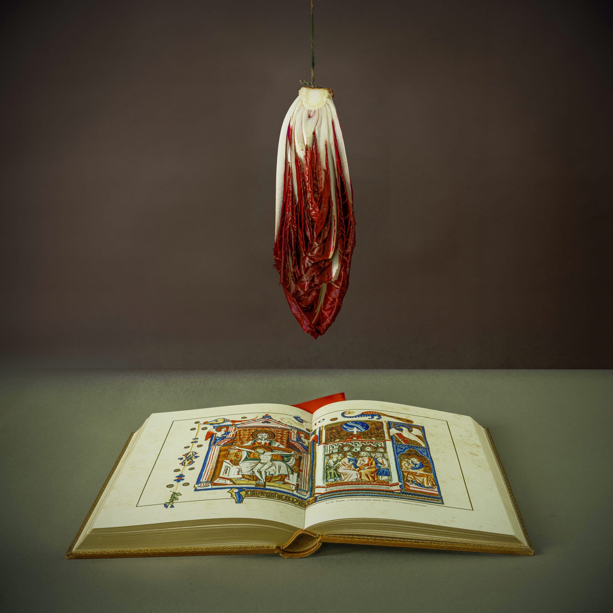 Jeff Robb Radicchio, Religious Book (Radicchio, Libro Religioso), 2024 Lenticular Photography 100 x 100 cm 39.37 x 39.37 in 12 plus 3 AP