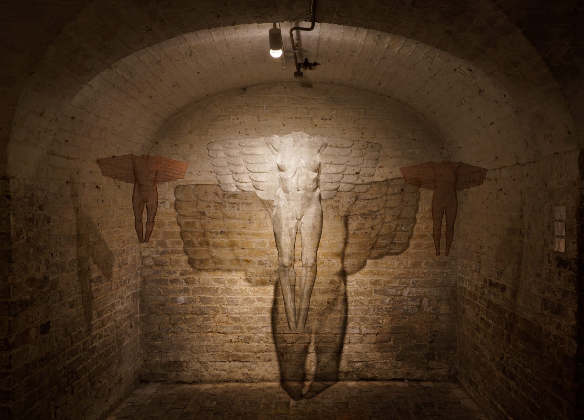 Angels Ph Laura Scatena