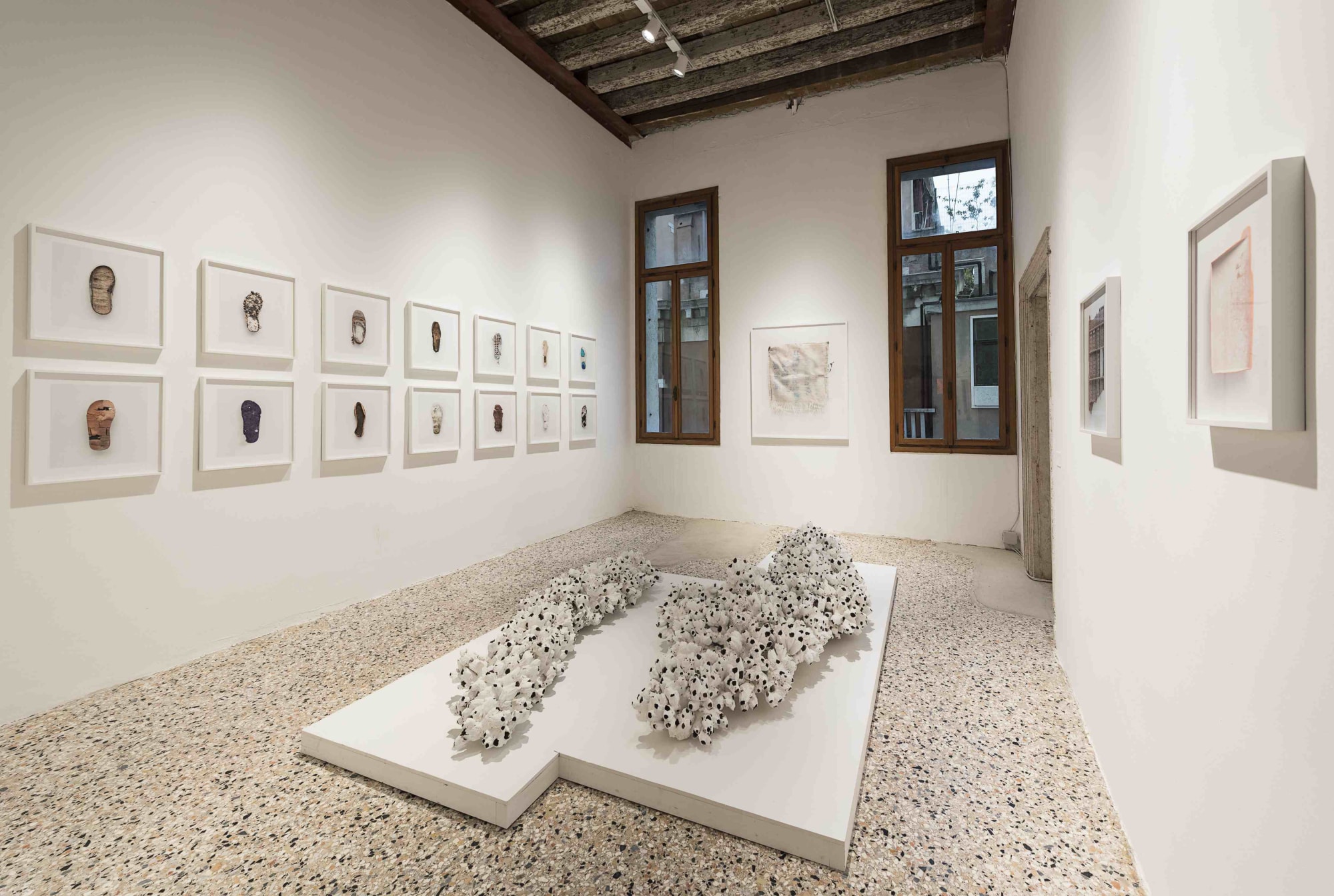 VITA VITALE (VITAL LIFE)