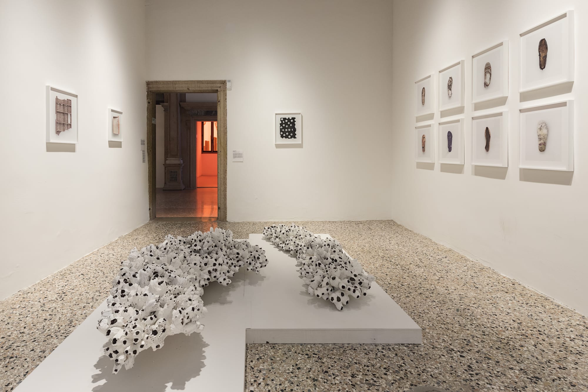 VITA VITALE (VITAL LIFE)