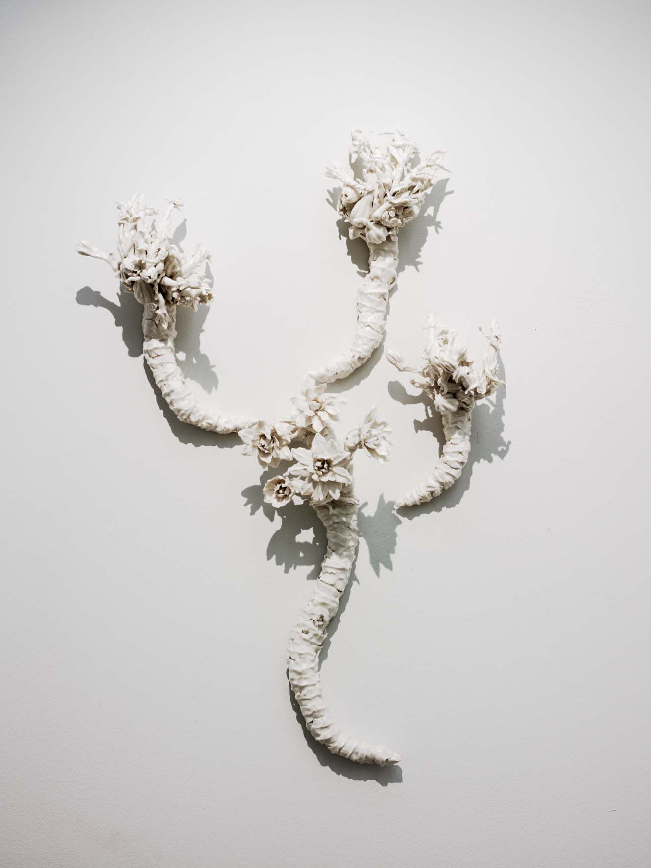 Contemporary Eye: Crossovers