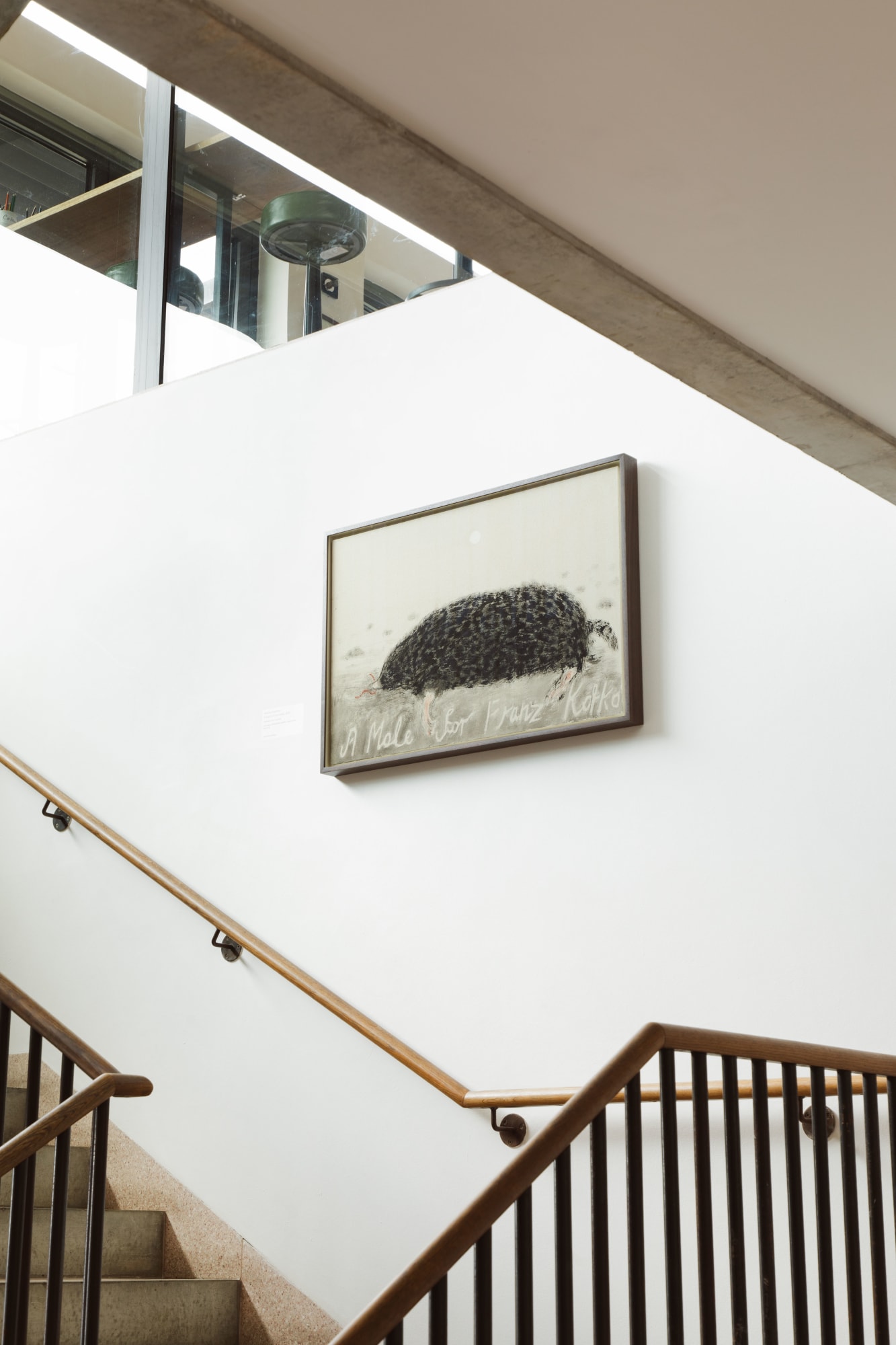 Hastings Contemporary