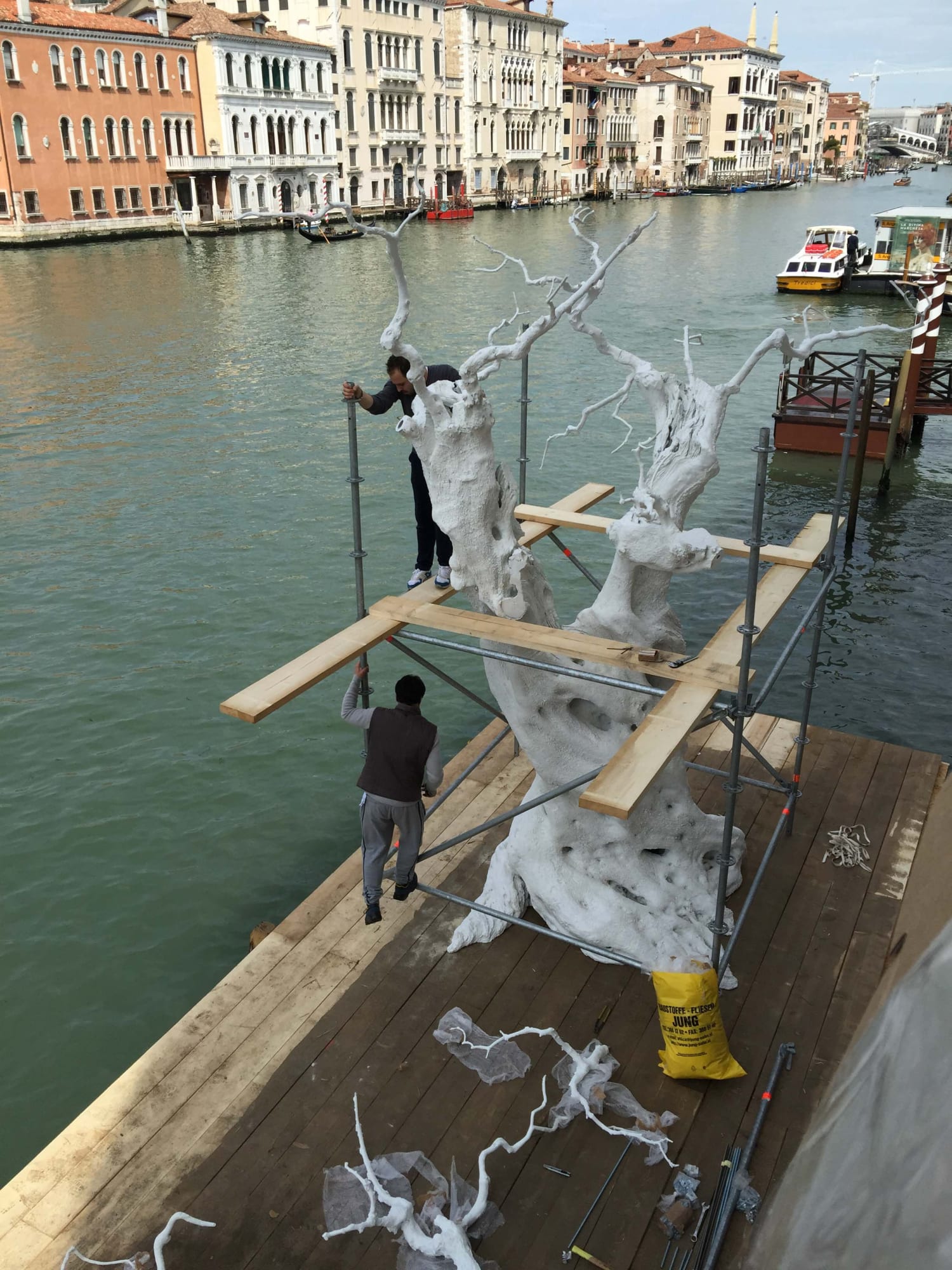 VITA VITALE (VITAL LIFE)