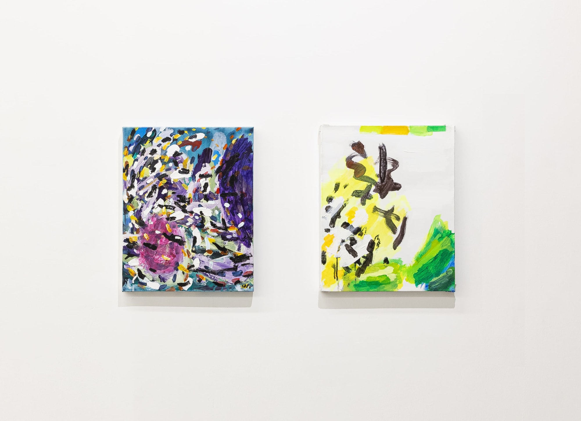 展览现场 Installation view