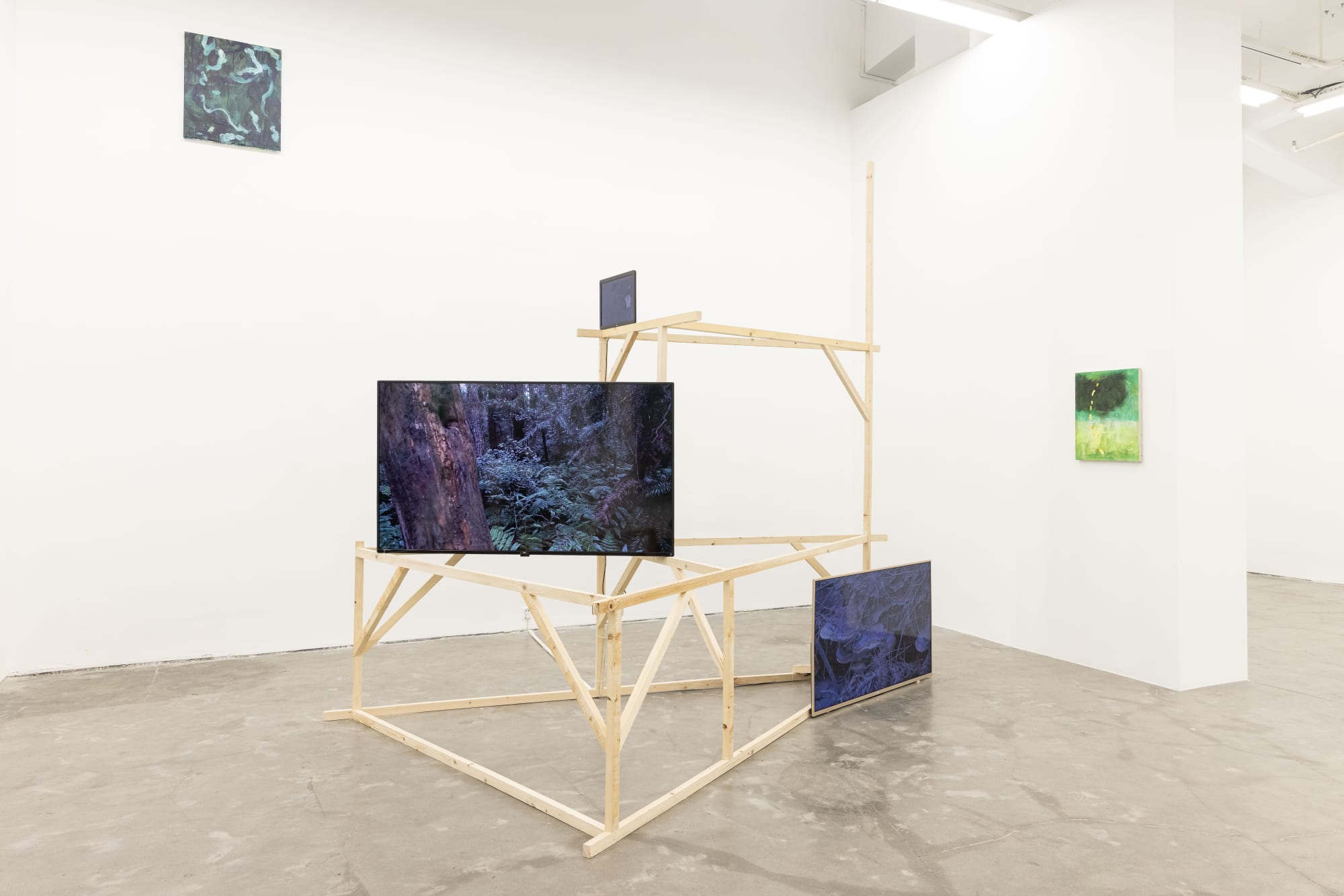 展览现场 Installation view