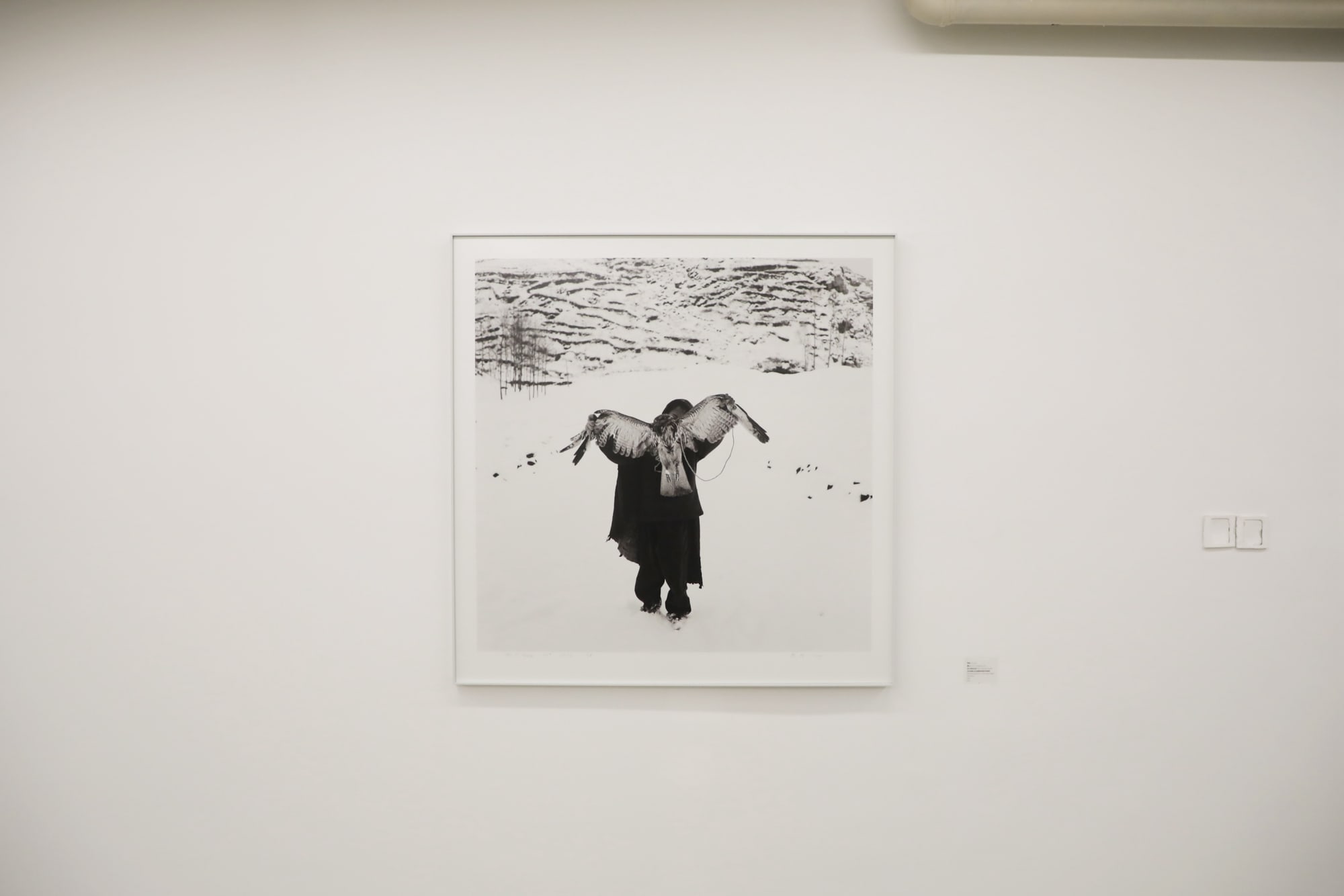 A Thousand Plateaus Exhibition for the Tenth Anniversary