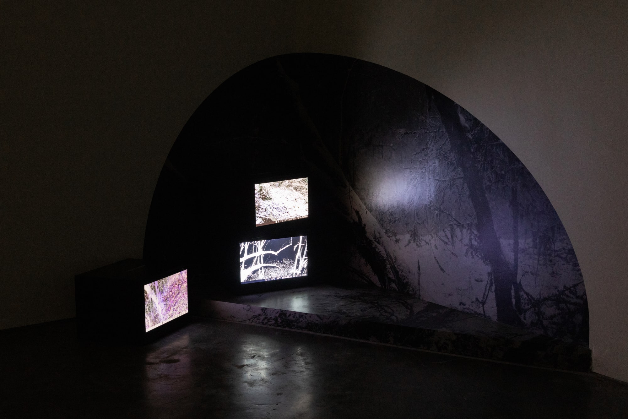 Moth/Good-bye/of all things the weight