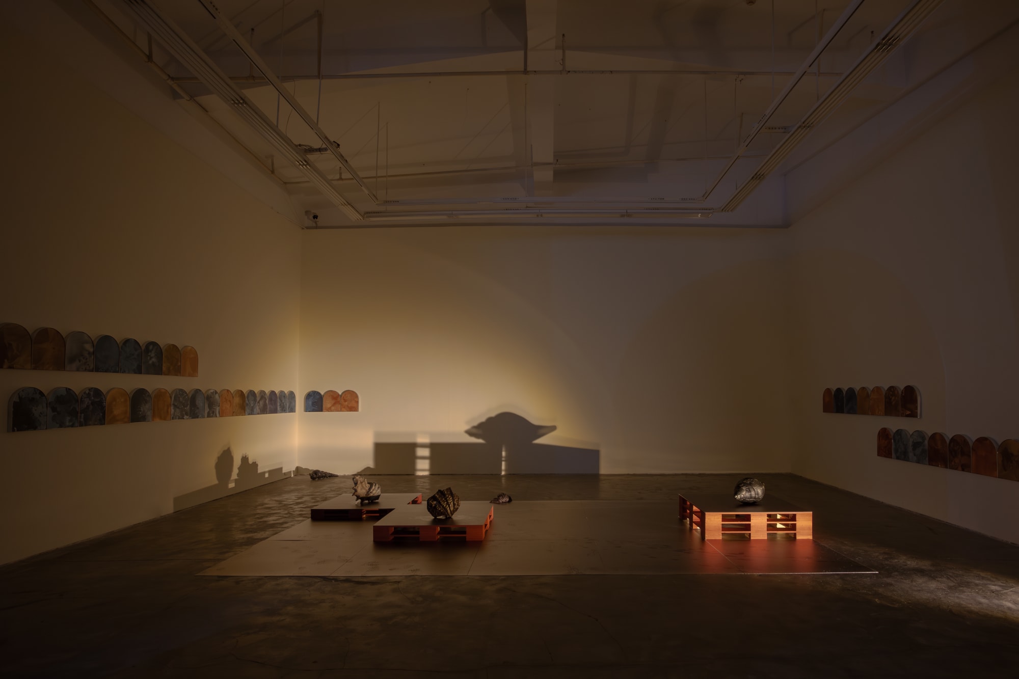 Moth/Good-bye/of all things the weight