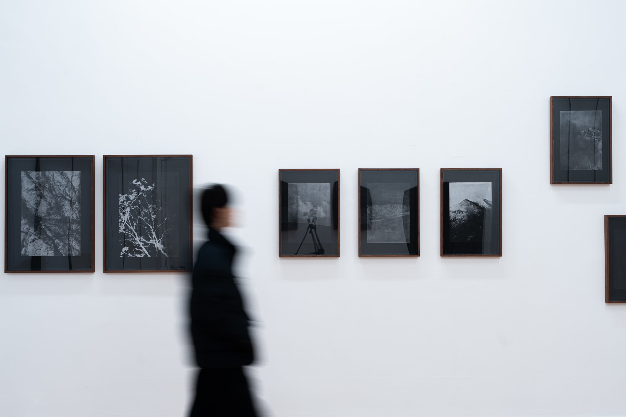 蛾蝶/再见/世界所有的重量