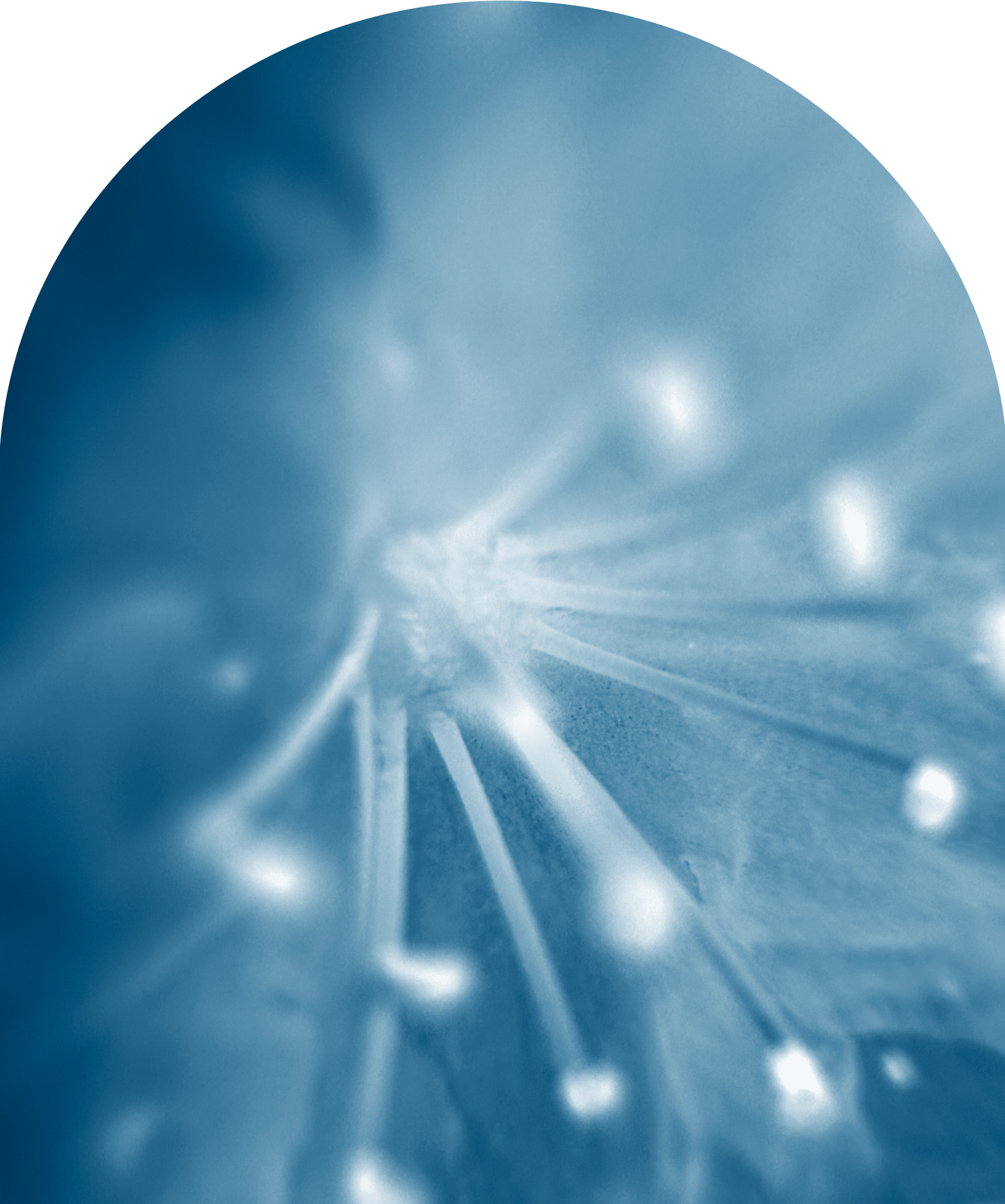 Moth/Good-bye/of all things the weight