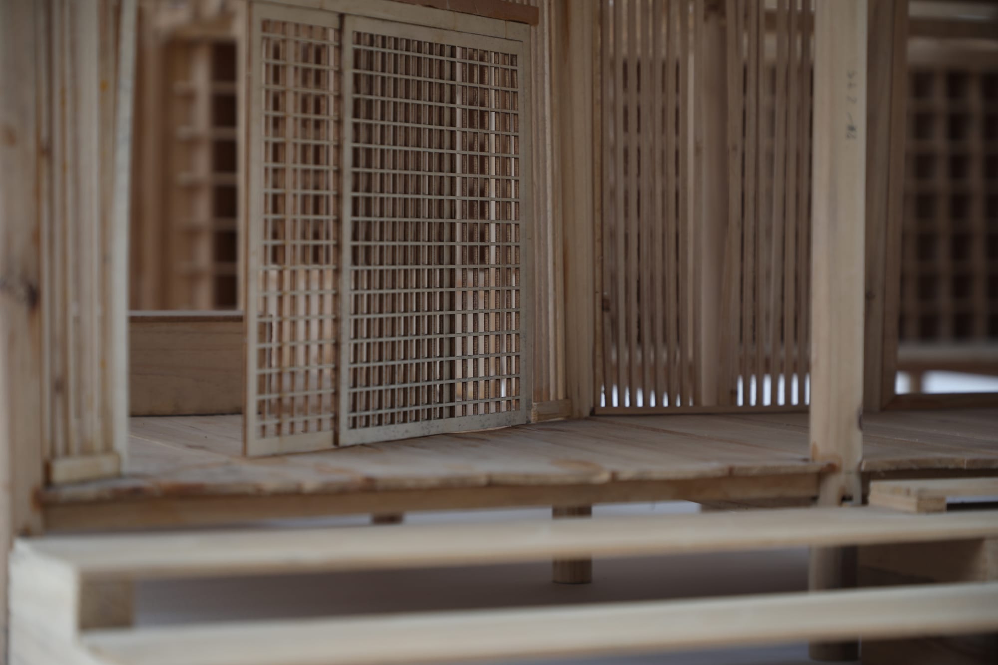 1000+: Mao Gong Project (2015-2018)