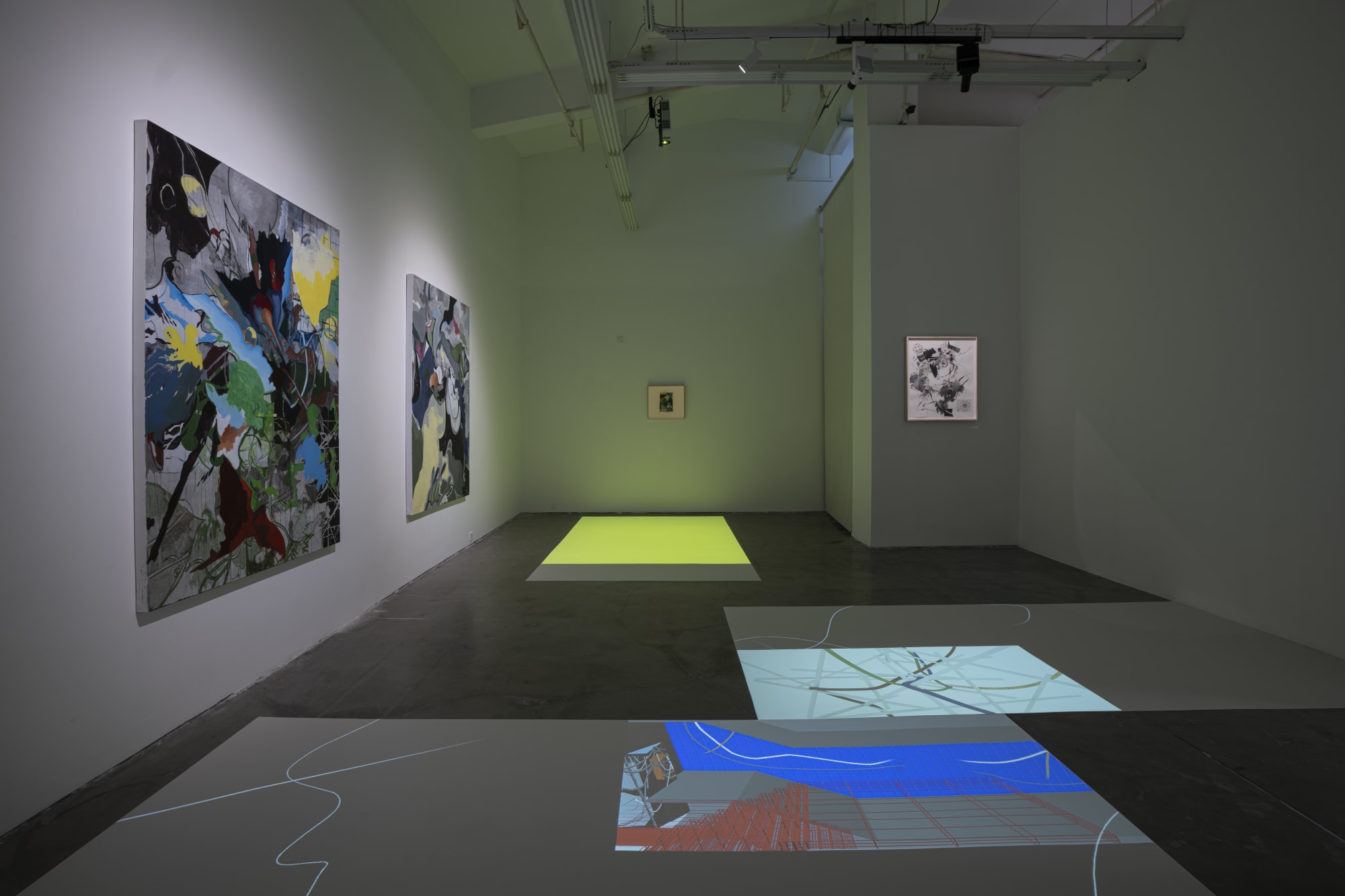 Animal in Two Dimensions