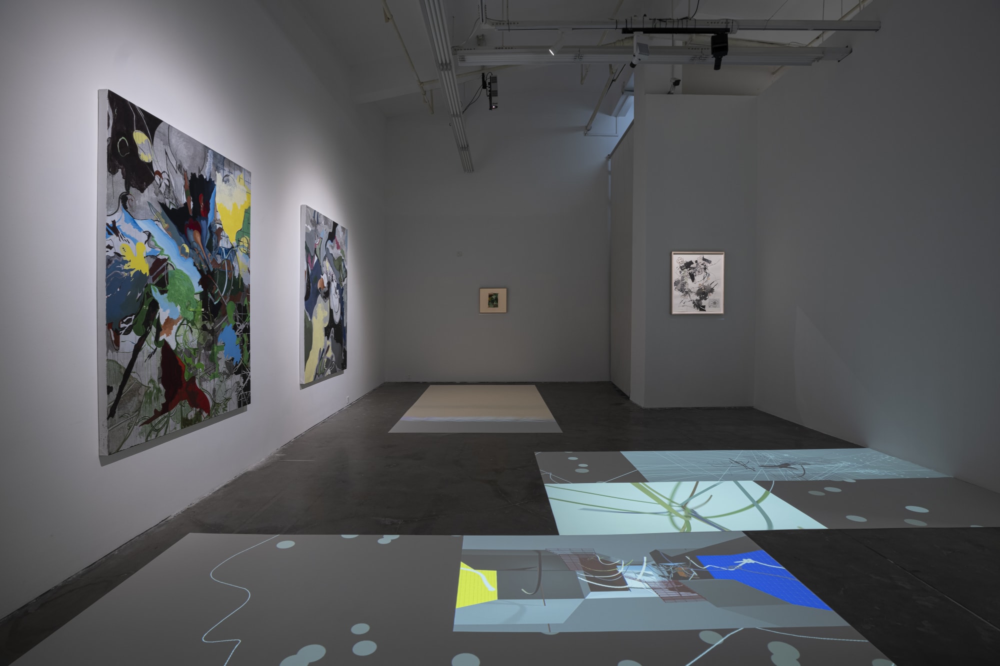 Animal in Two Dimensions