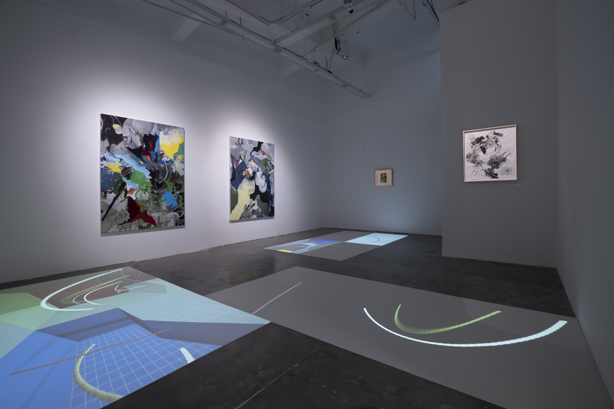 Animal in Two Dimensions