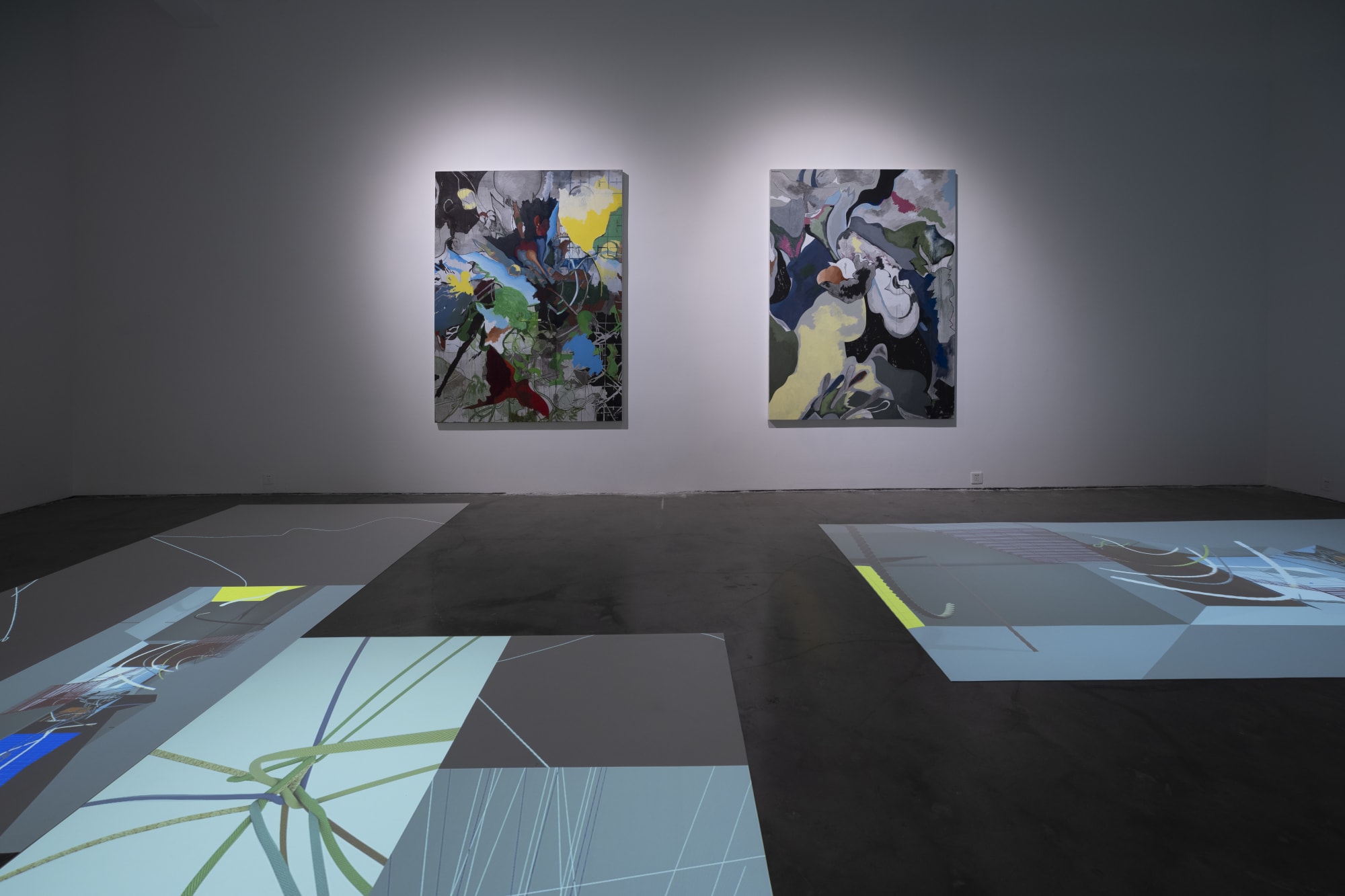 Animal in Two Dimensions