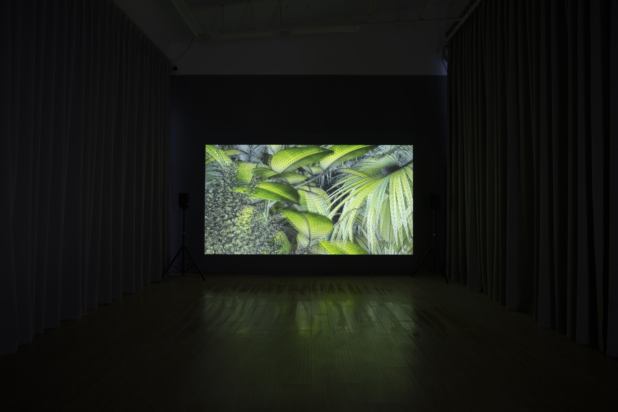 Animal in Two Dimensions