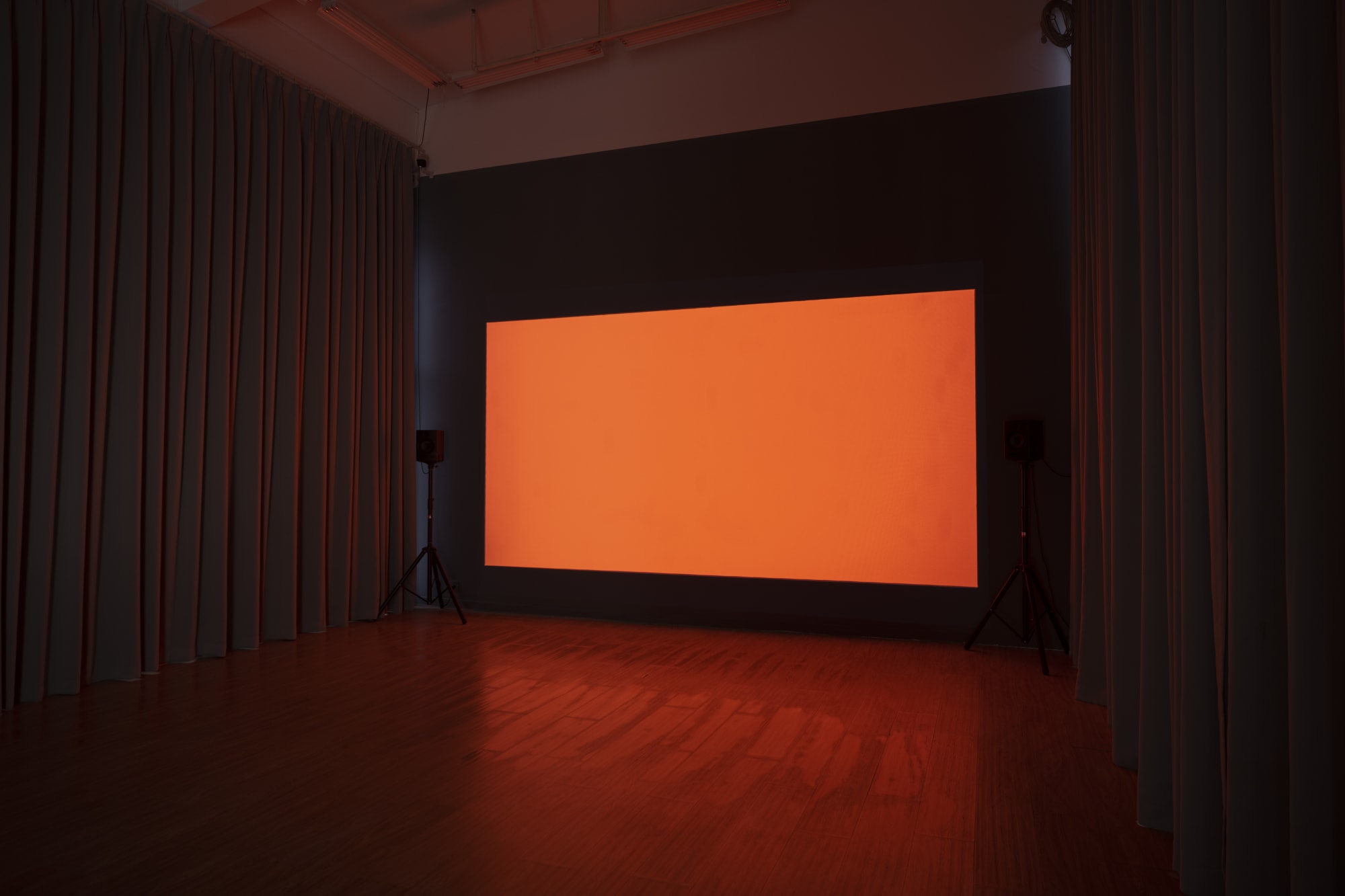 Animal in Two Dimensions