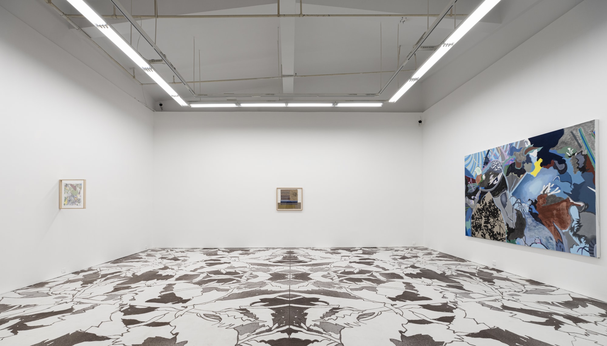 Animal in Two Dimensions