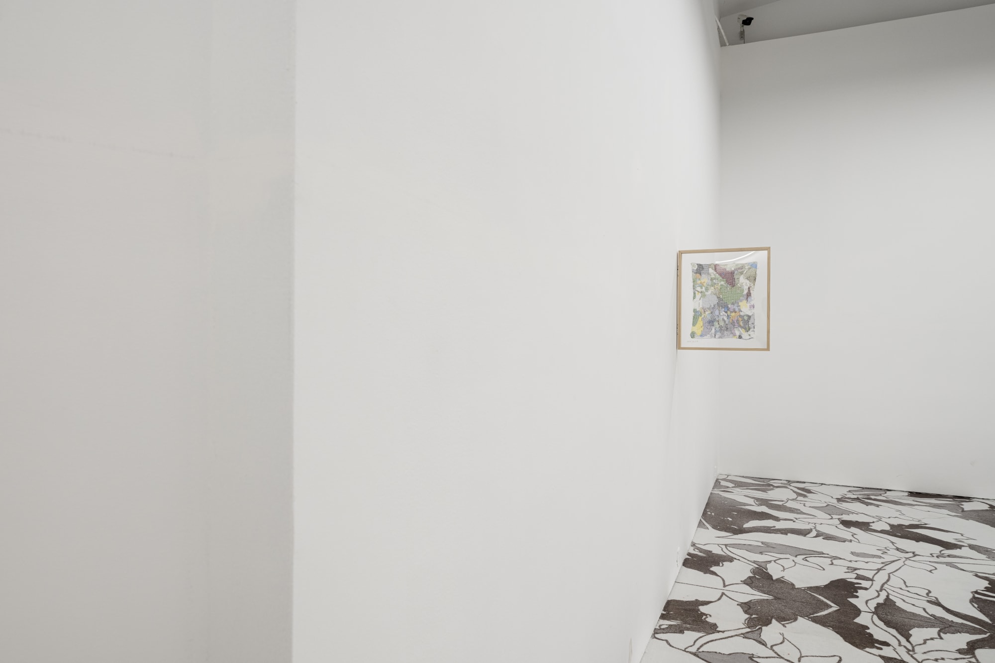 Animal in Two Dimensions