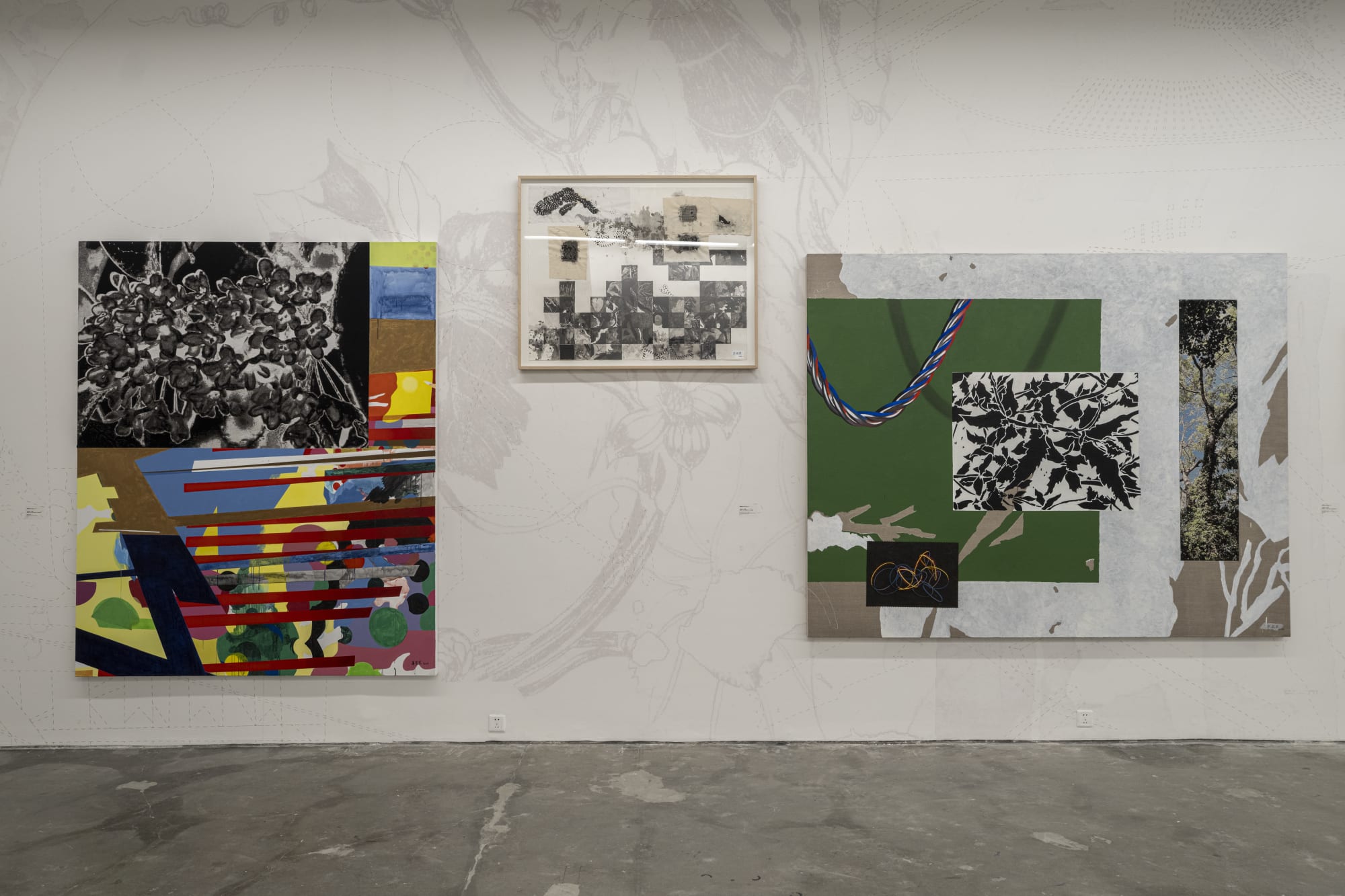 Animal in Two Dimensions