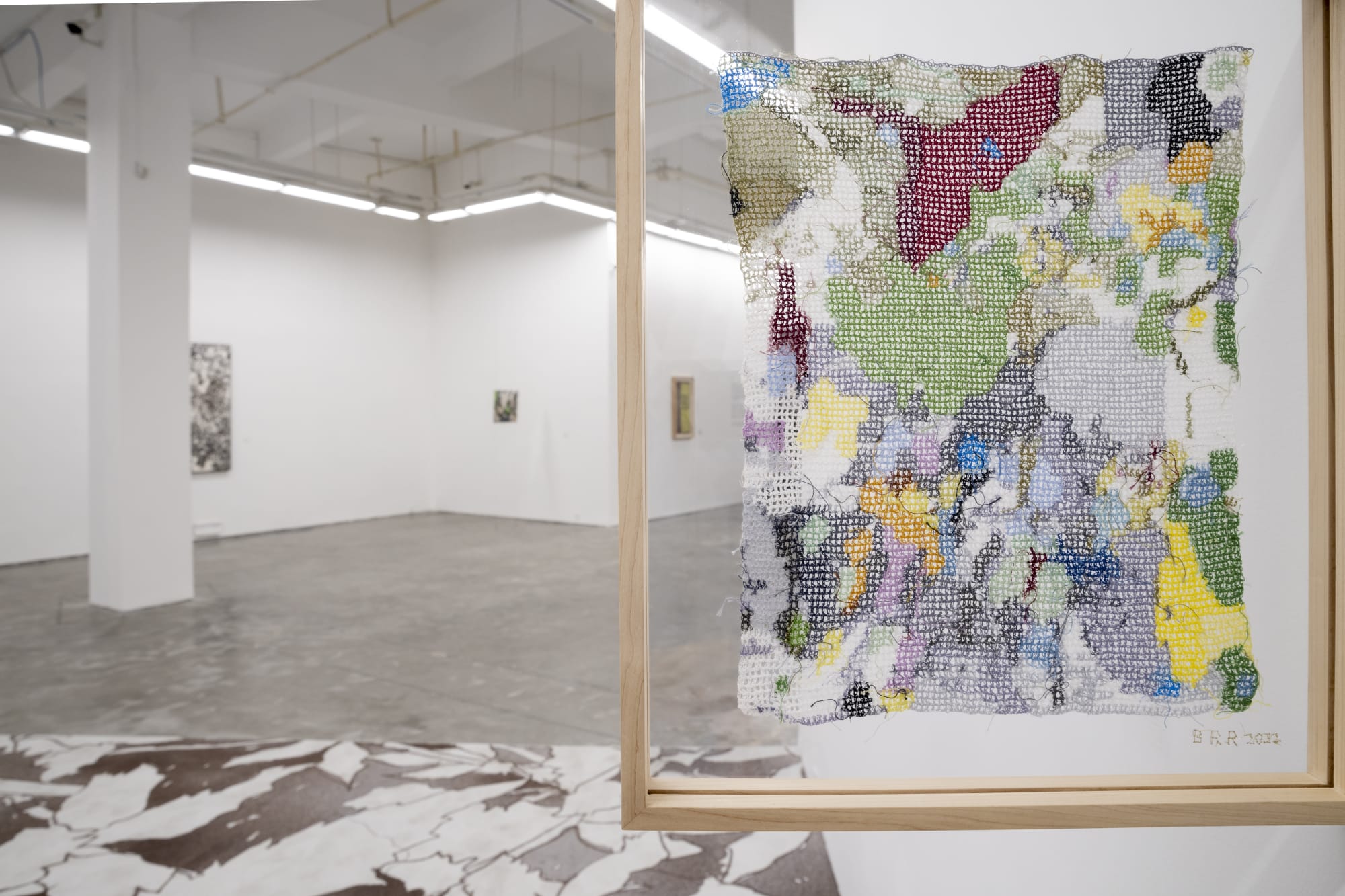 Animal in Two Dimensions