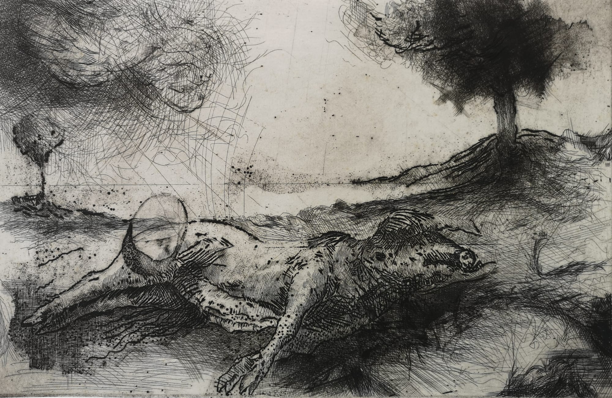 Diarmuid Delargy, Sleeping Venus, Etching and engraving on BFK Rives 42 x27 cms
