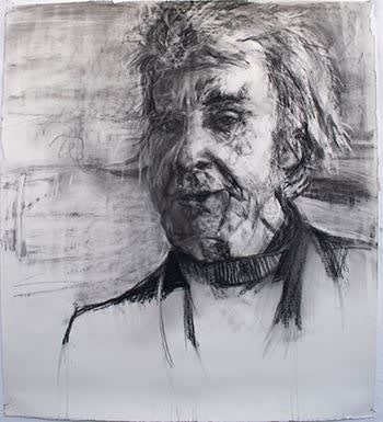 Between Presence and Absence: Two Winter Weeks in North Mayo