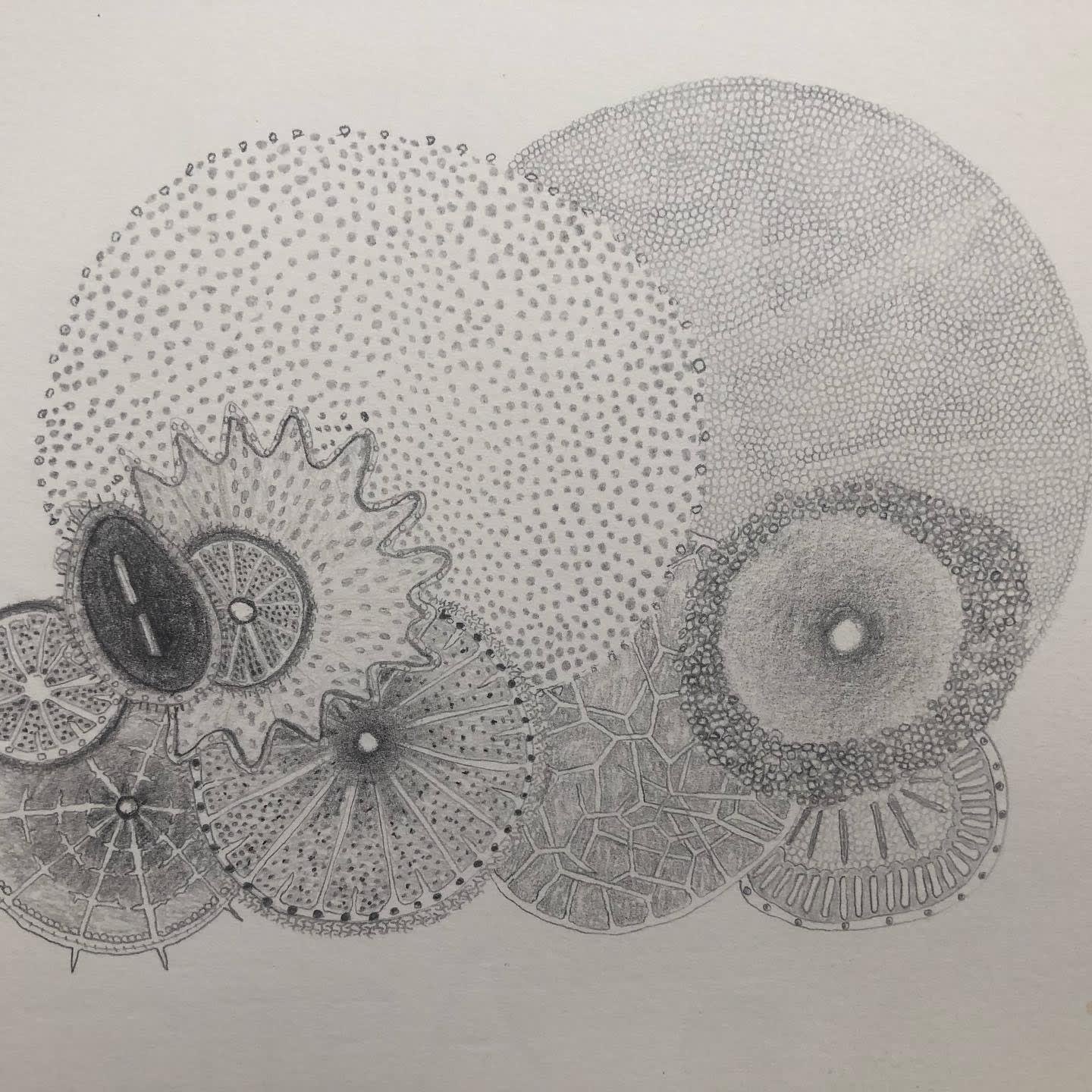 mergemerge: A Collaborative Drawing Project by Michael Geddis and Joanna Kidney