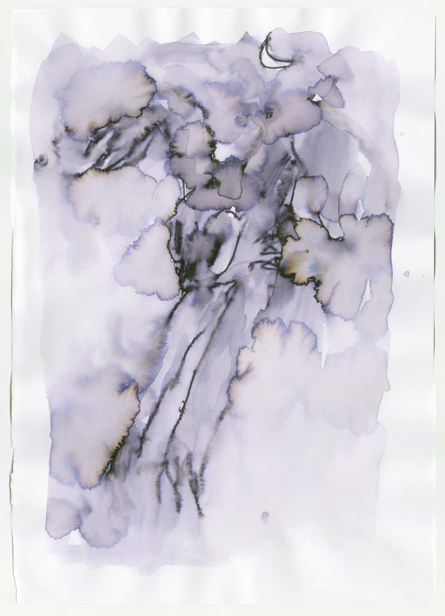 Dream Owls #11, 2019 £2160