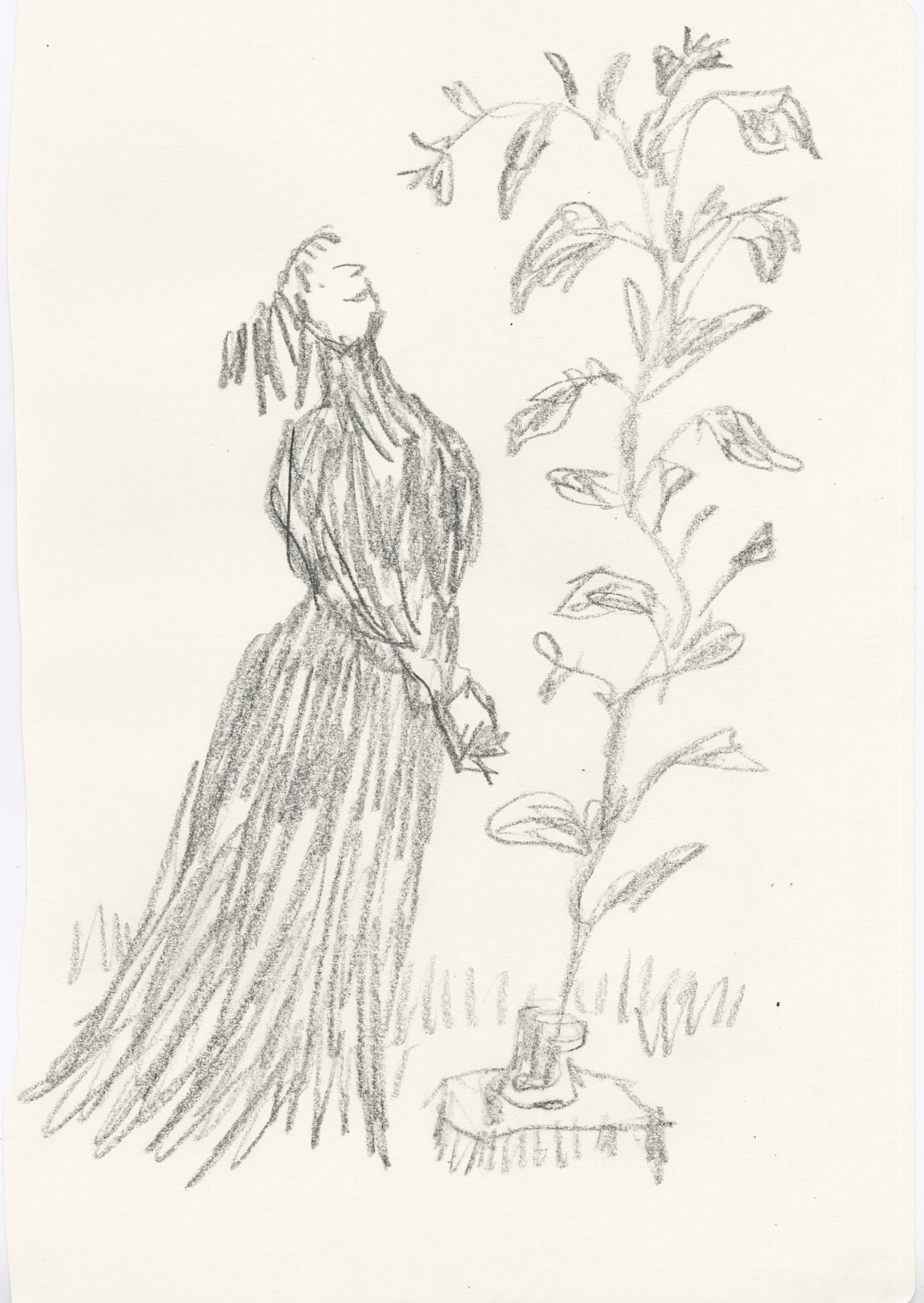 In Praise of Potted Plants #8, 2019 SOLD