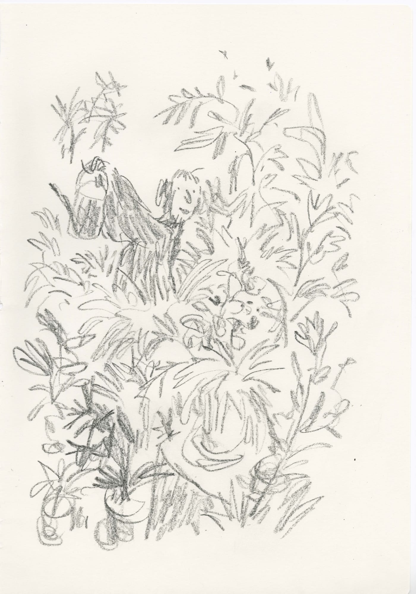 In Praise of Potted Plants #16, 2019 SOLD