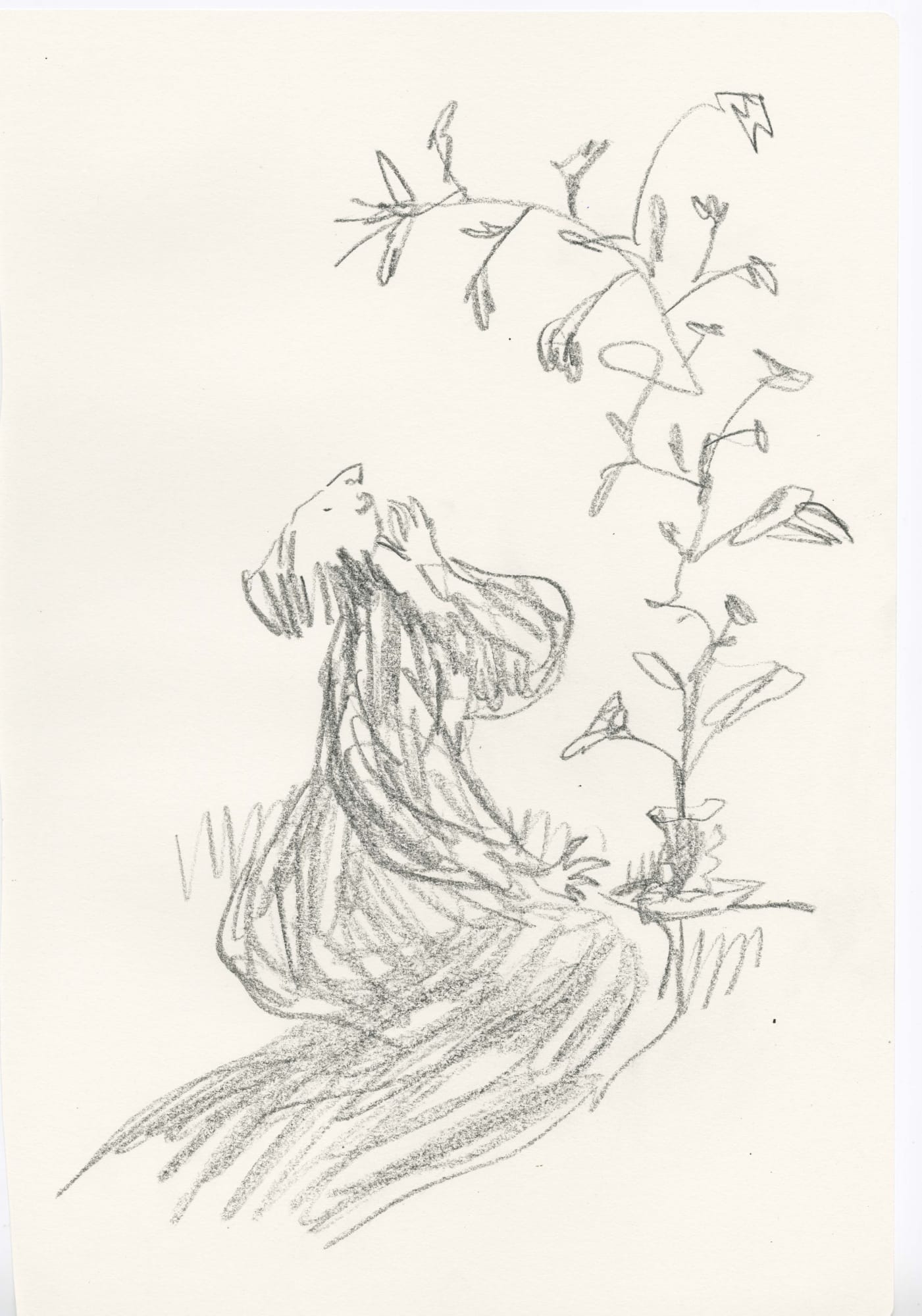 In Praise of Potted Plants #20, 2019 SOLD