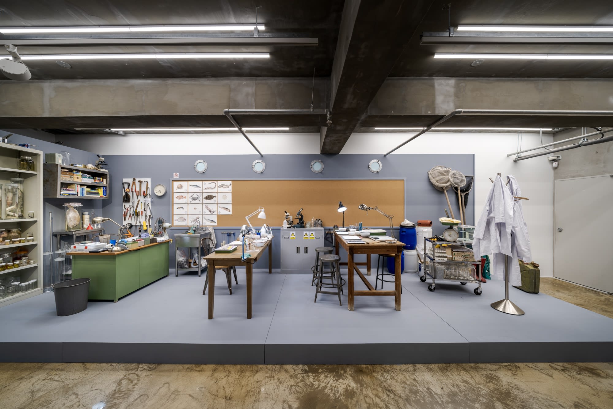 Mark Dion: The Sea Life of South Korea and Other Curious Tales