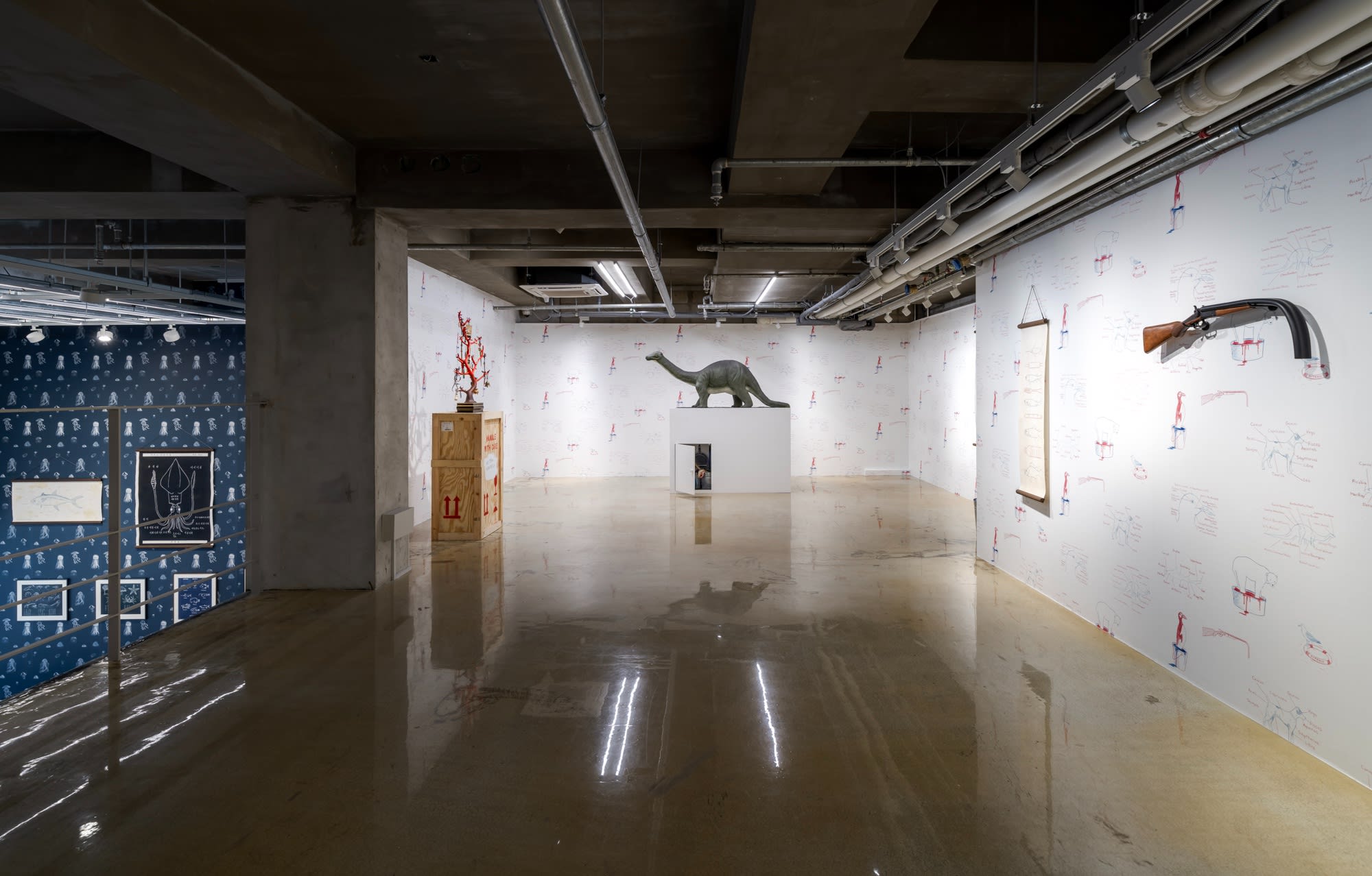 Mark Dion: The Sea Life of South Korea and Other Curious Tales