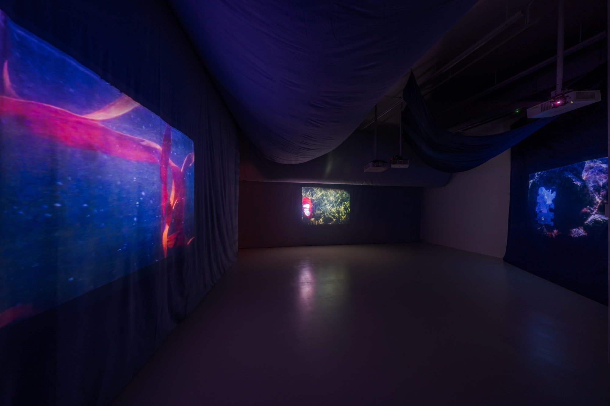 Installation view of Ulla von Brandenburg: Shadows under water, 2025, Barakat Contemporary, Seoul, Korea. Photograph by Jeon Byung Cheol, image courtesy of Barakat Contemporary.