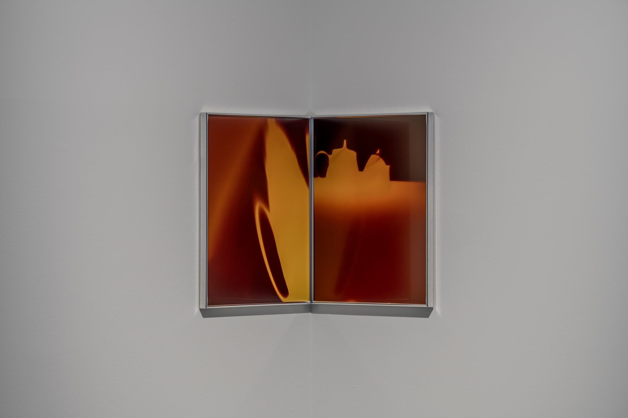 Nikita Gale, DREAM 5(right), DREAM 7(left) 2025, color photogram.