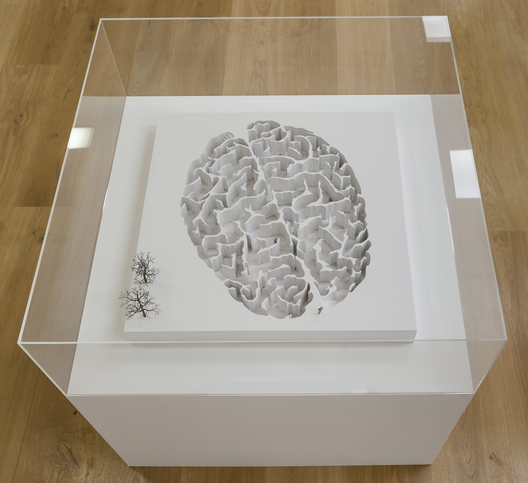 Yoan Capote (b. 1977), Open Mind, 2008-2009