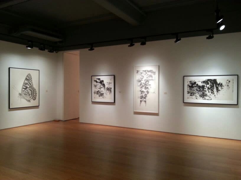 MEDITATIONS IN NATURE