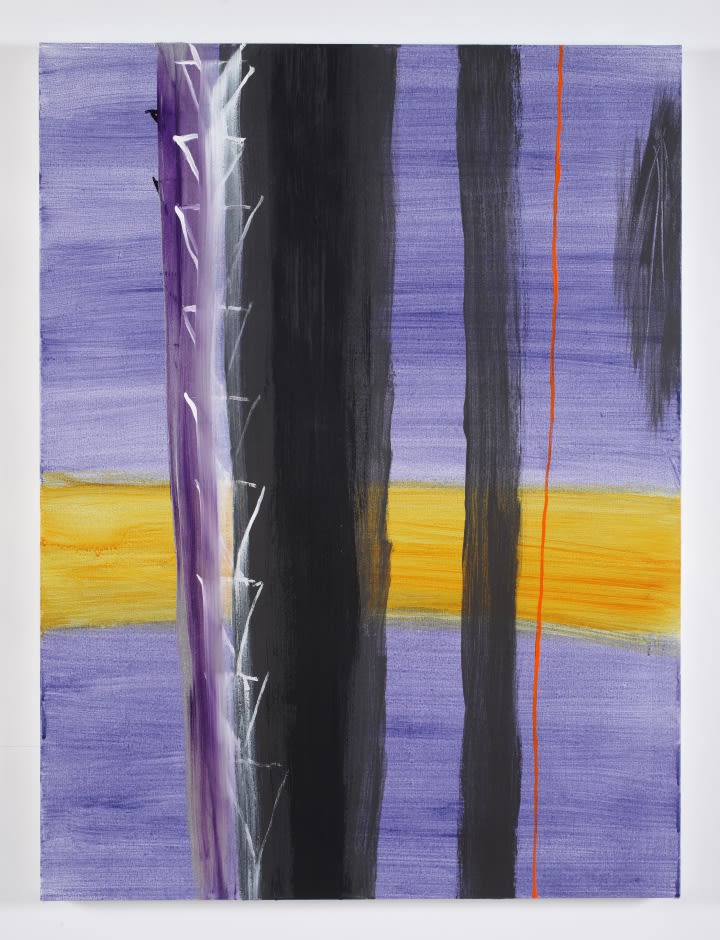 Nabil Nahas, Untitled, 2014