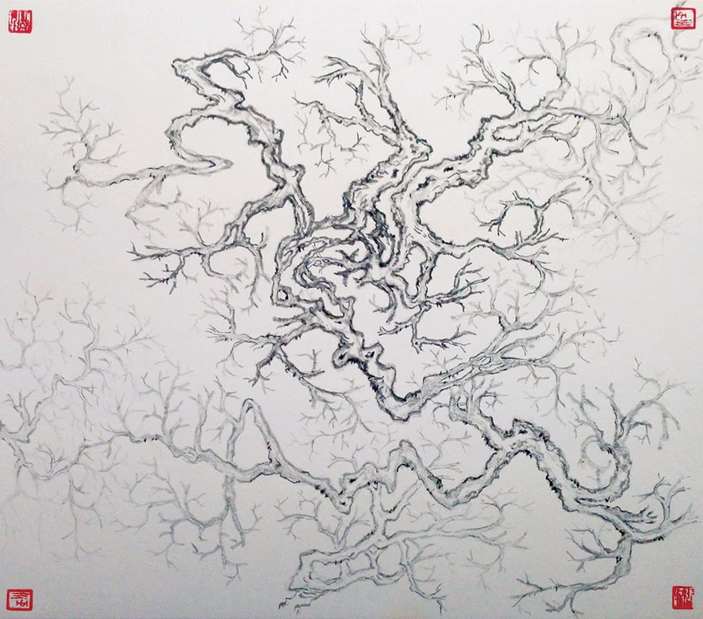 Arnold Chang, Omni-directional Trees, 2014