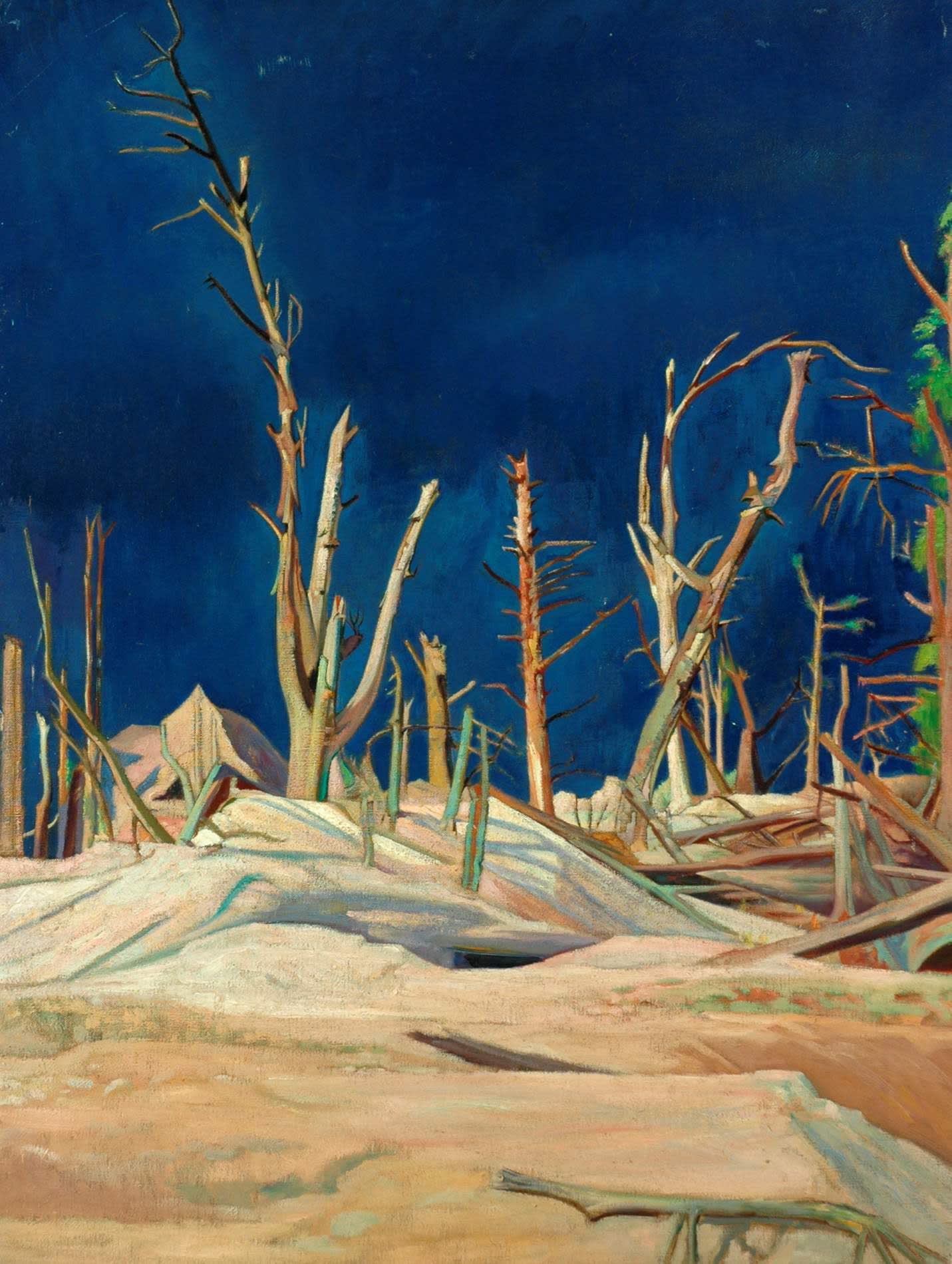 Blasted Trees by William Rothenstein