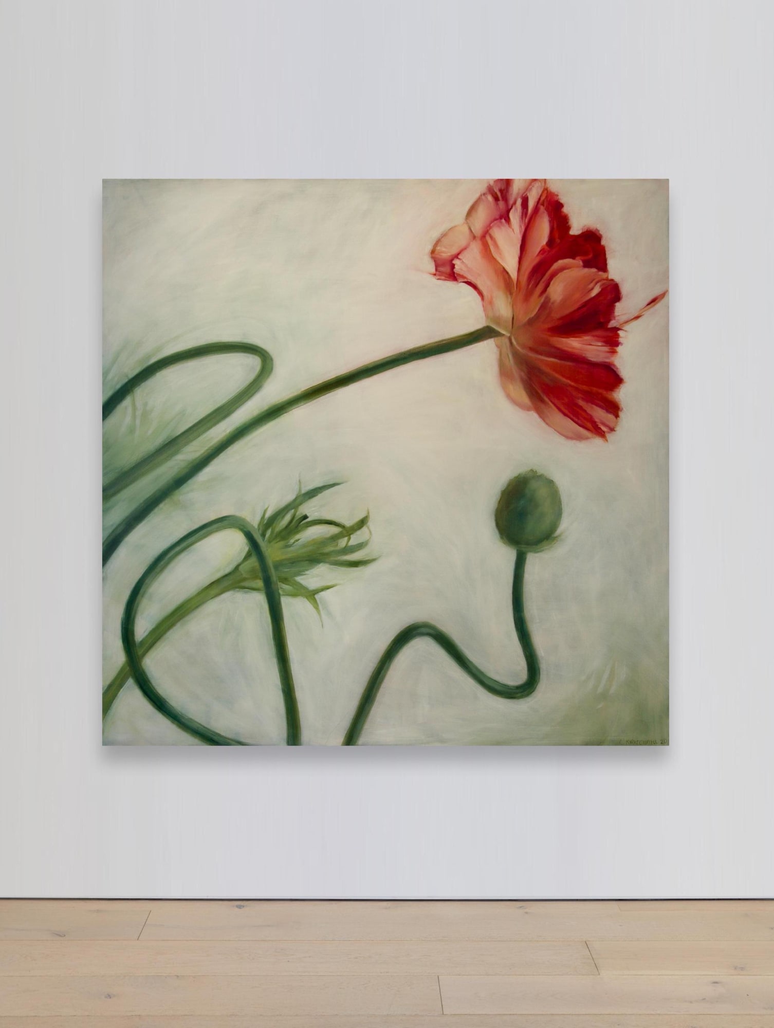 Clare Kirkconnell Ranunculust, 2020 Oil on canvas 72 x 72 inches