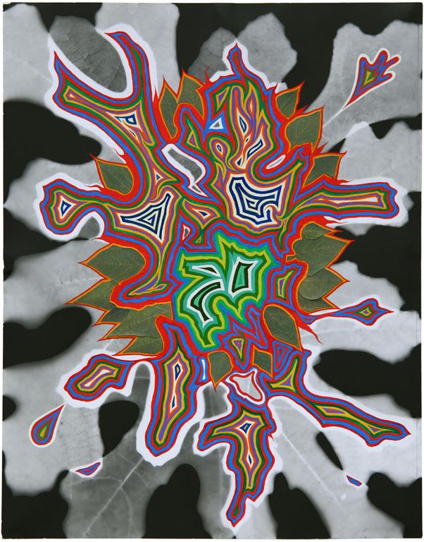 Fred Tomaselli Bloom #6, 2011 Gouache and photo collage on photogram 14 x 11 inches