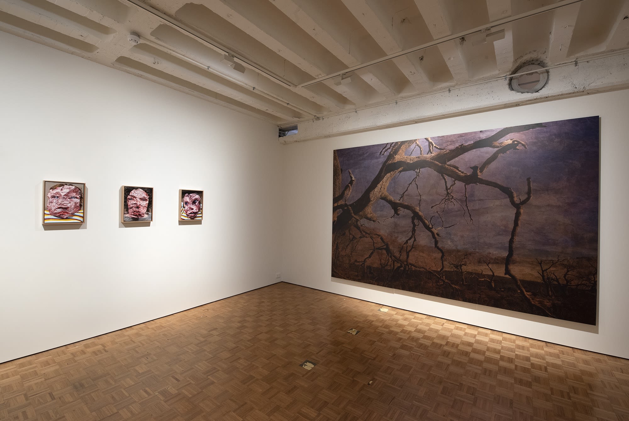 Explore Sydney Contemporary 2021